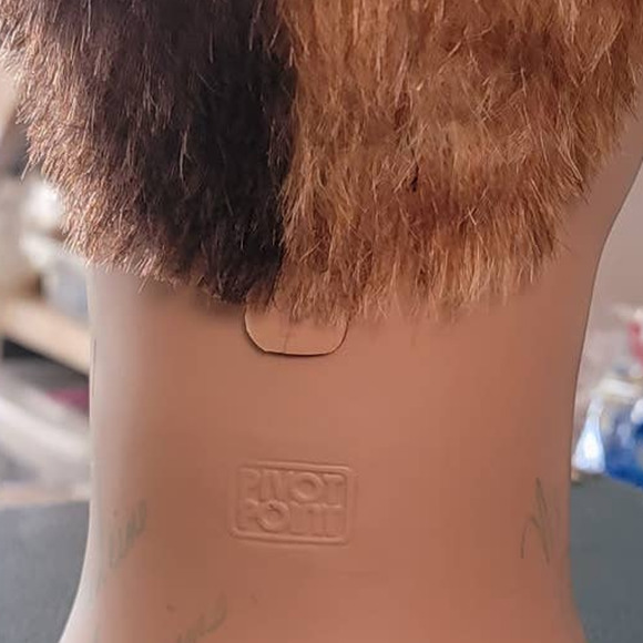 Mannequin Head Hairdressing Cosmetology 100% Human Hair Practice Training Doll - Picture 4 of 7